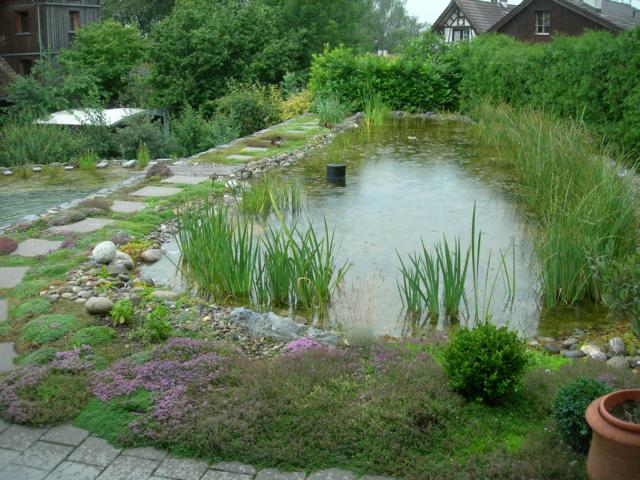 zweitopf Badeteich